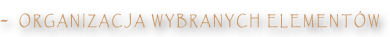 organizacja wybranych elementow